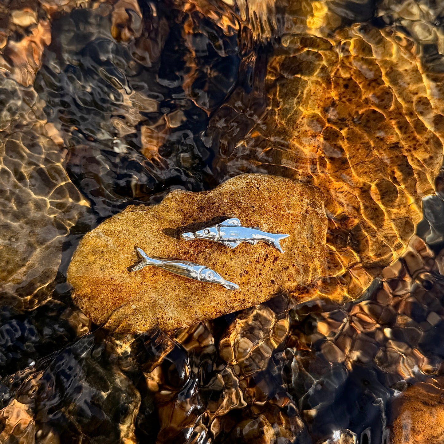 Two small fish on a rock with clear water reflections